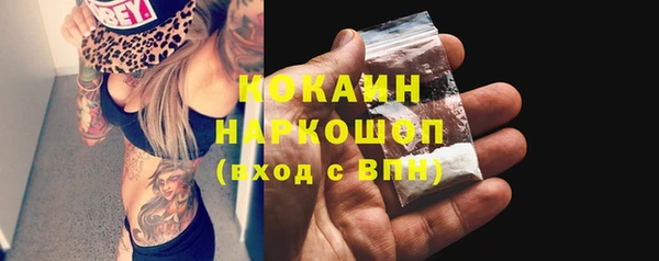стафф Карпинск