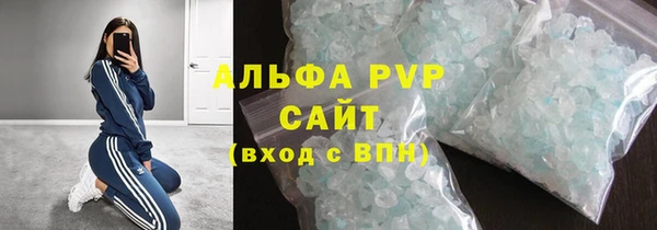 стафф Карпинск