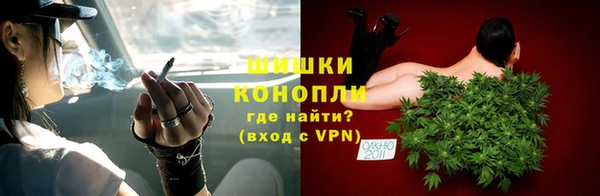 стафф Карпинск