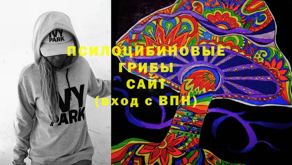 стафф Карпинск